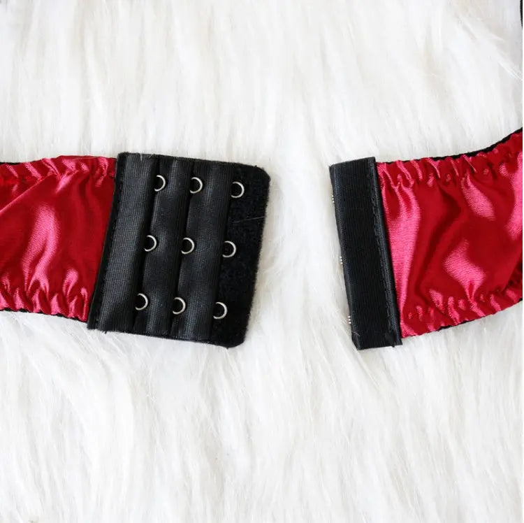 Desiré Lingerie Sett (6)